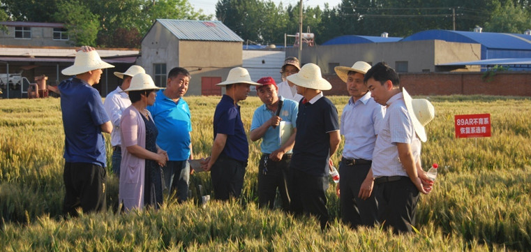 1558663361799117.jpg 童孟进到基地观摩调研04.jpg