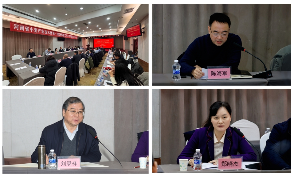 1767492526495105.jpg 微信截图_20251231174355.jpg