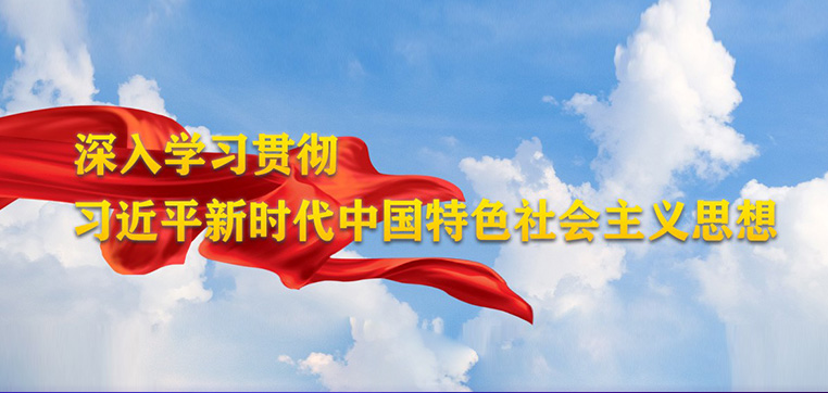 深入学习贯彻习近平新时代中国特色社会主义思